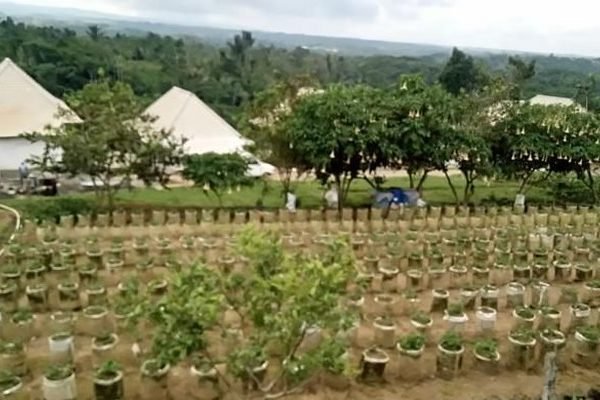 1145259DSC-0019780x390