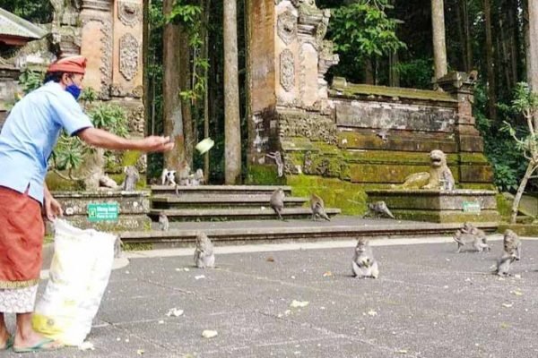 Tour Rombongan (Group) 1 Hari di Bali (11)