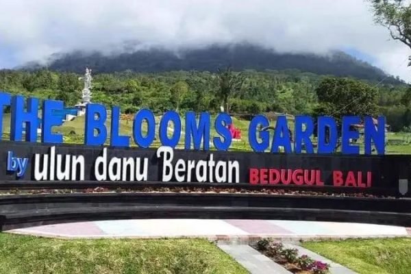 af33bfac1fde2ac5ced391312031894f