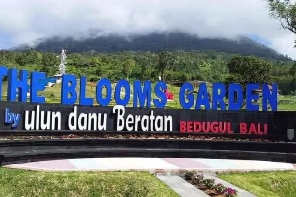 af33bfac1fde2ac5ced391312031894f