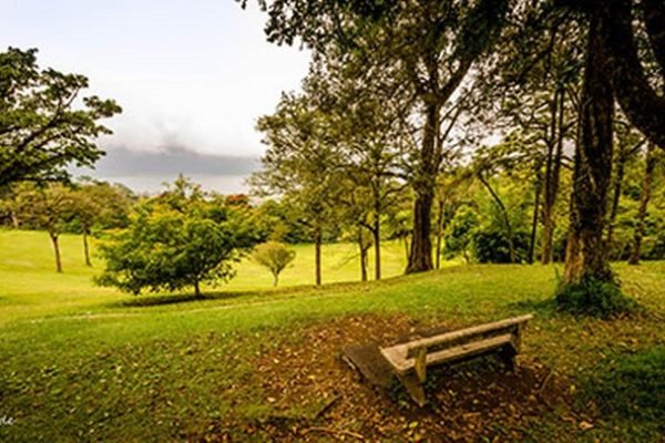 kebun-raya-bedugul-bali-objek-wisata