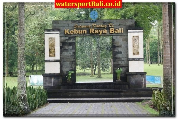 kebun-raya-bedugul-bali